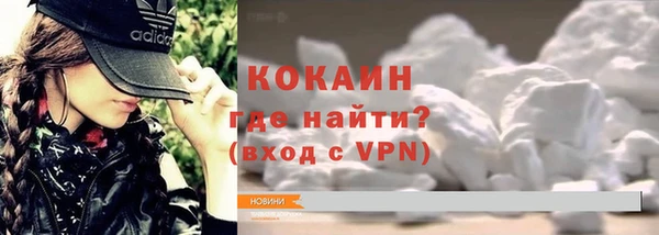индика Белоозёрский