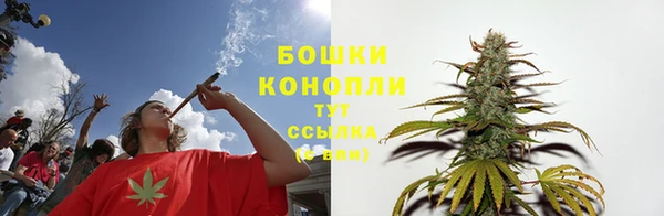 индика Белоозёрский