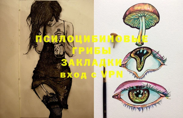 эйфоретик Беломорск