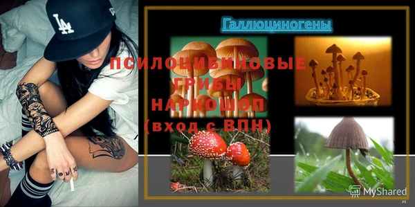 эйфоретик Беломорск