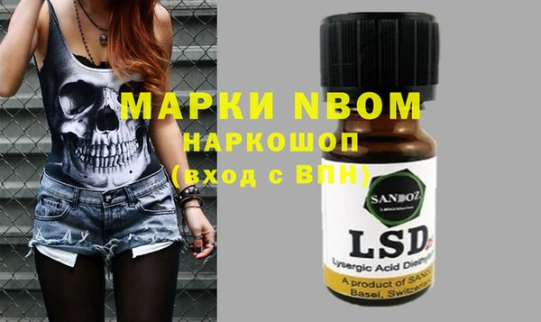 индика Белоозёрский
