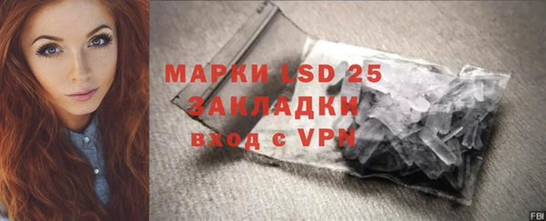 индика Белоозёрский